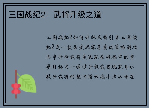 三国战纪2：武将升级之道