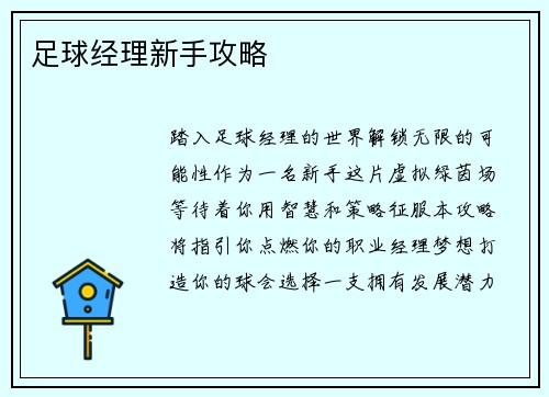足球经理新手攻略