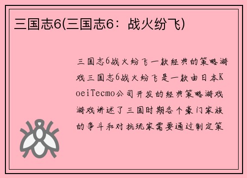 三国志6(三国志6：战火纷飞)